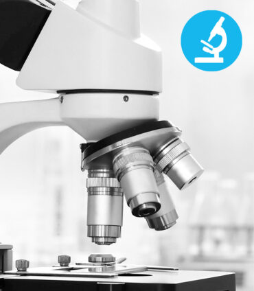 QV - Bluttdifferenzierungskurs, MKZ Zürich